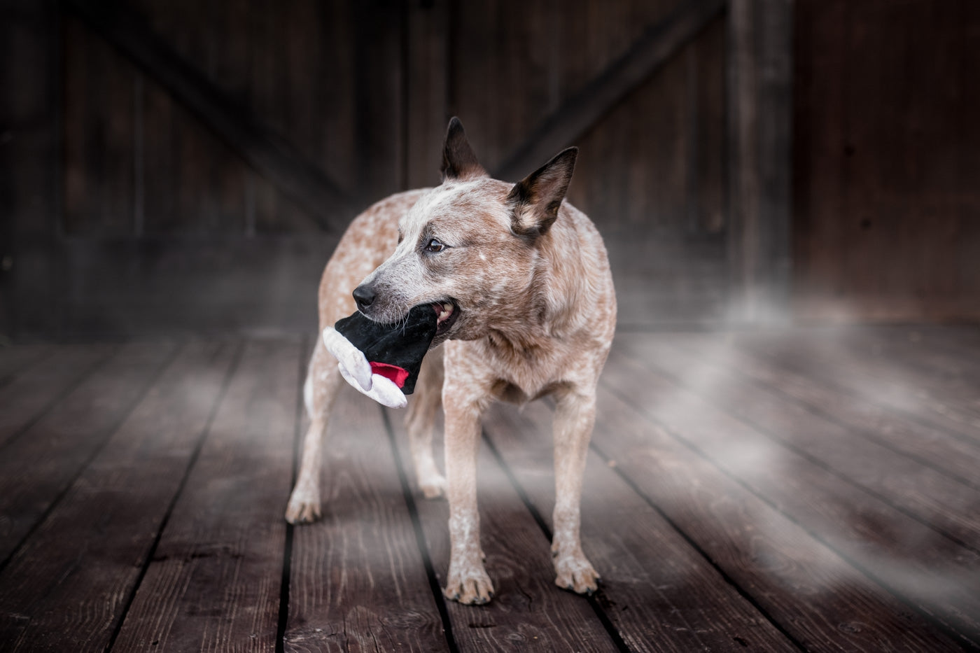 P.L.A.Y. Heulende Spukorte Barkys Biss