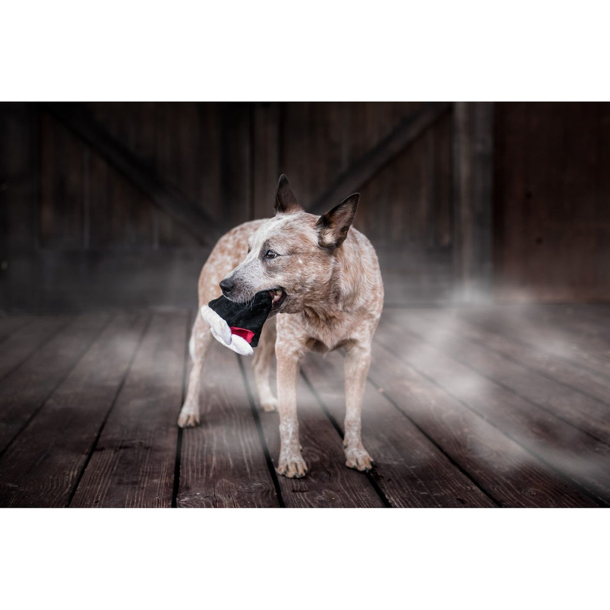 P.L.A.Y. Heulende Spukorte Barkys Biss