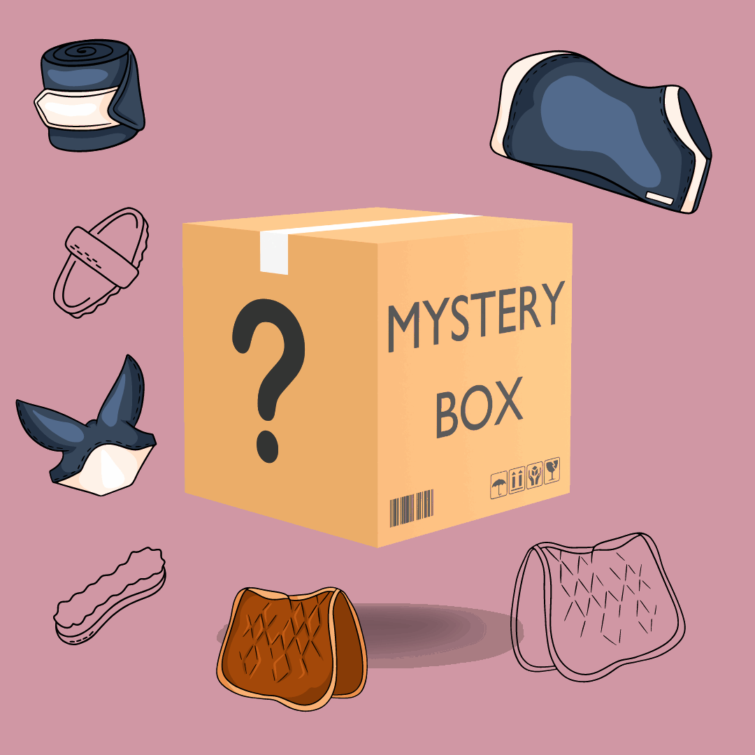 Überraschungsbox Pferd - Kaster Cheval