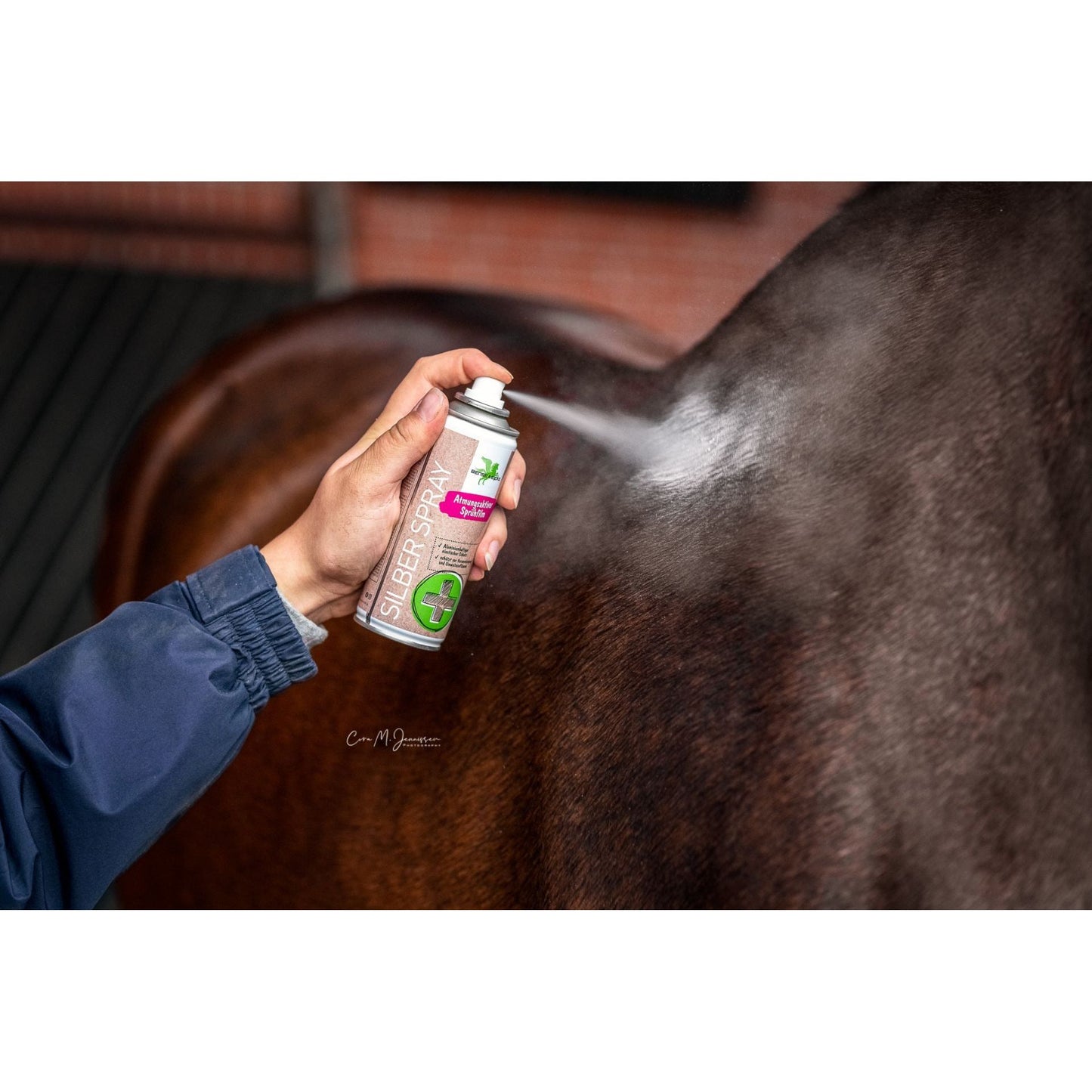 Bense & Eicke Silberspray 200ml
