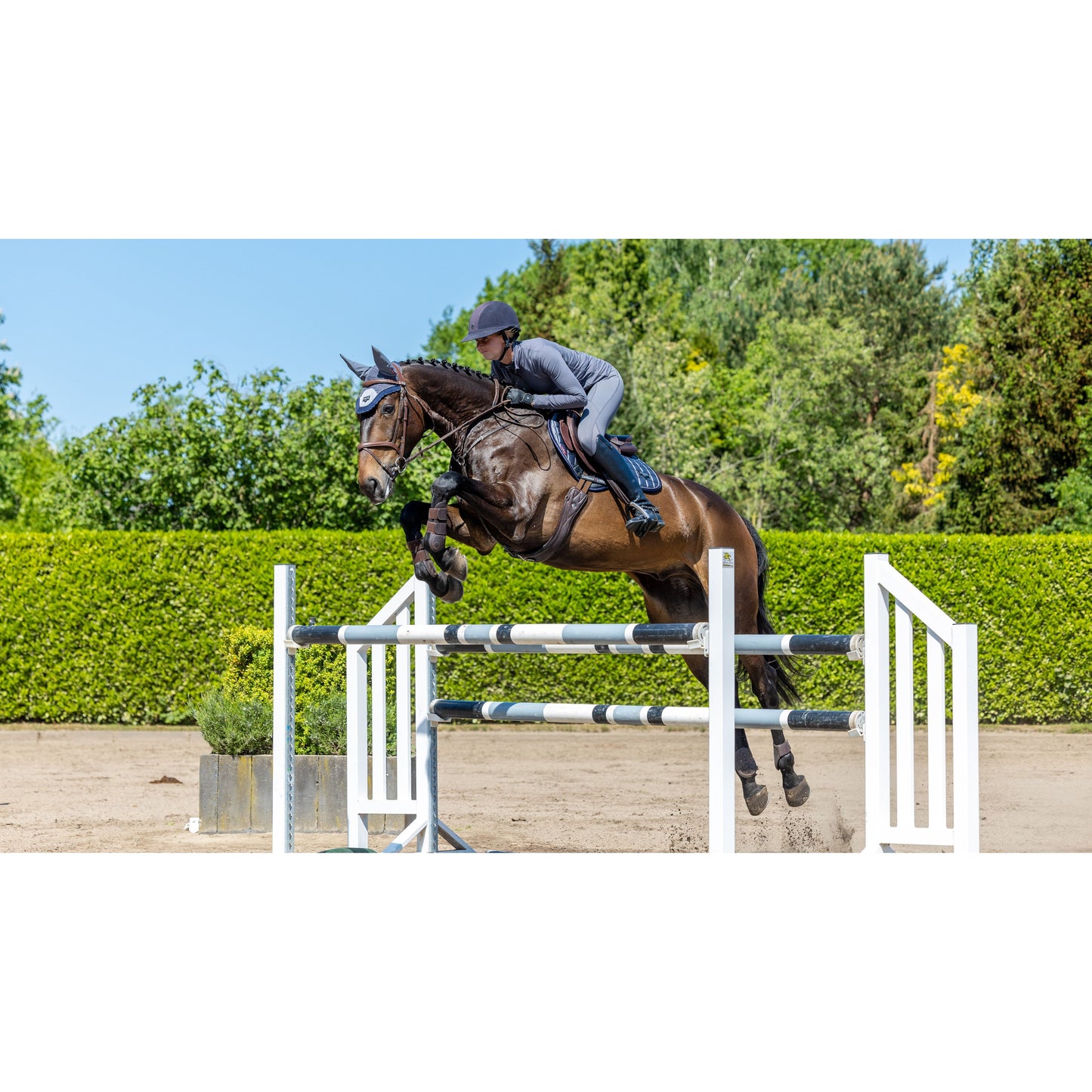 LeMieux Loire CC Schabracke Twilight Grey