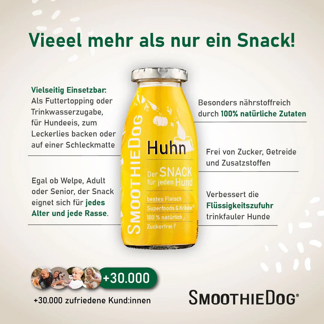 Hundesmoothie Huhn