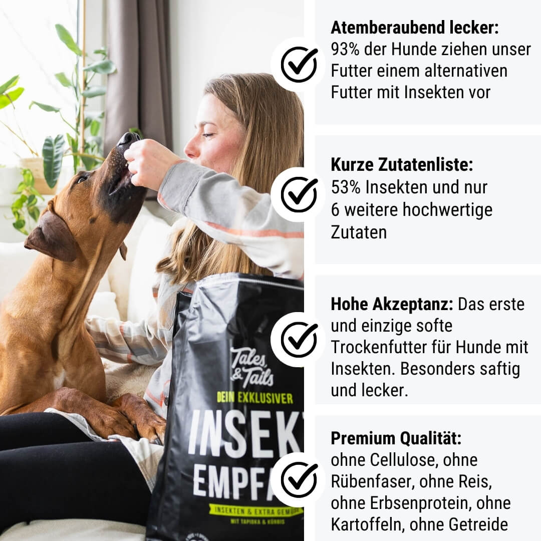 Tales & Tails InSektempfang