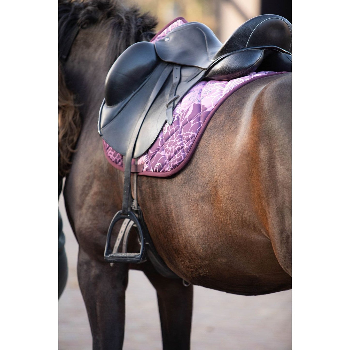 Harry’s Horse Schabracke Denici Cavalli Scabiosa