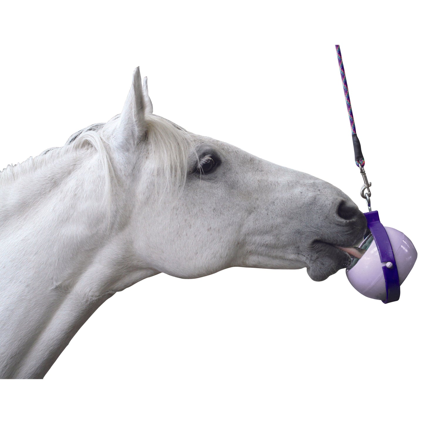 Gray Likit Halter - Boredom Breaker