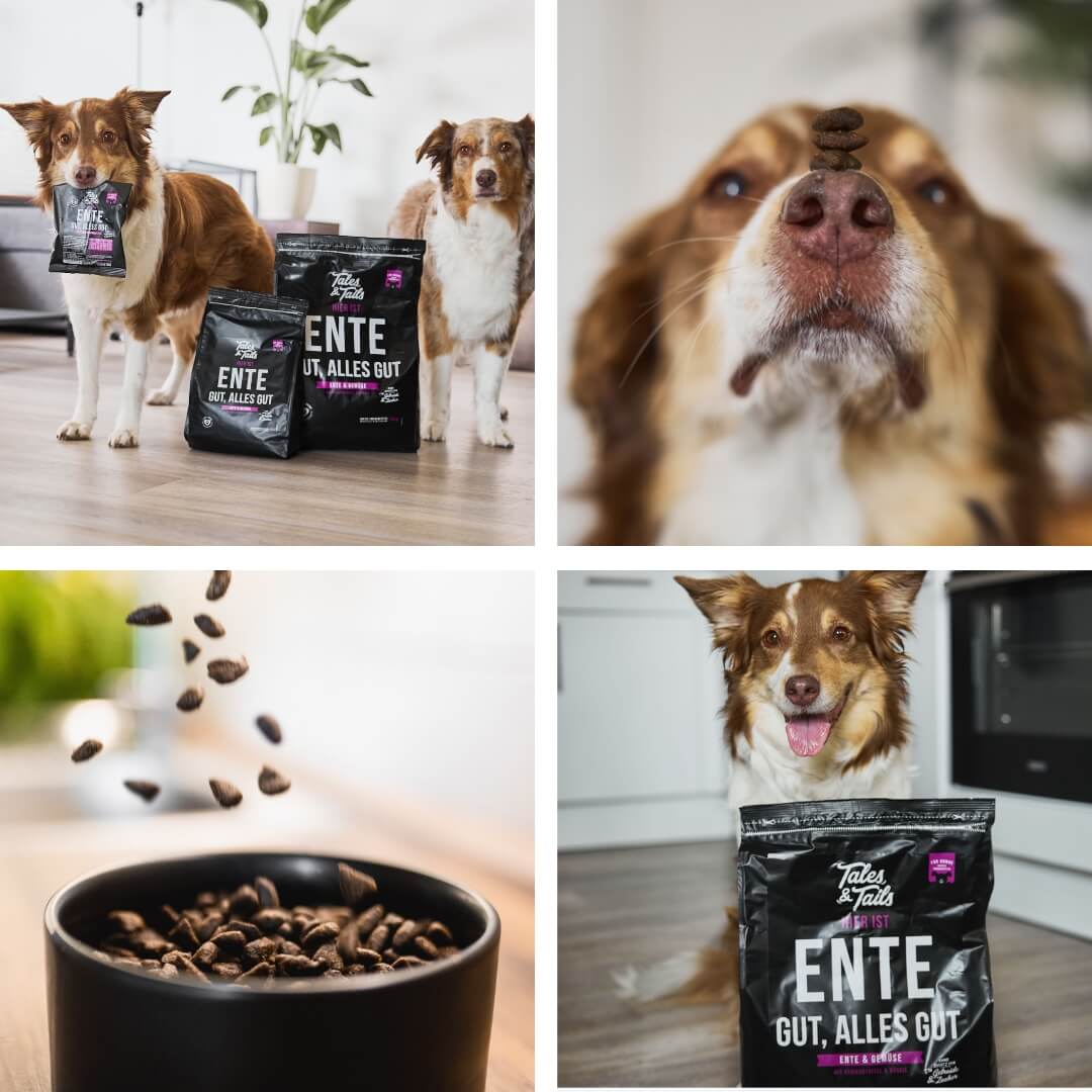Gray Tales & Tails Ente Gut, Alles Gut Trockenfutter