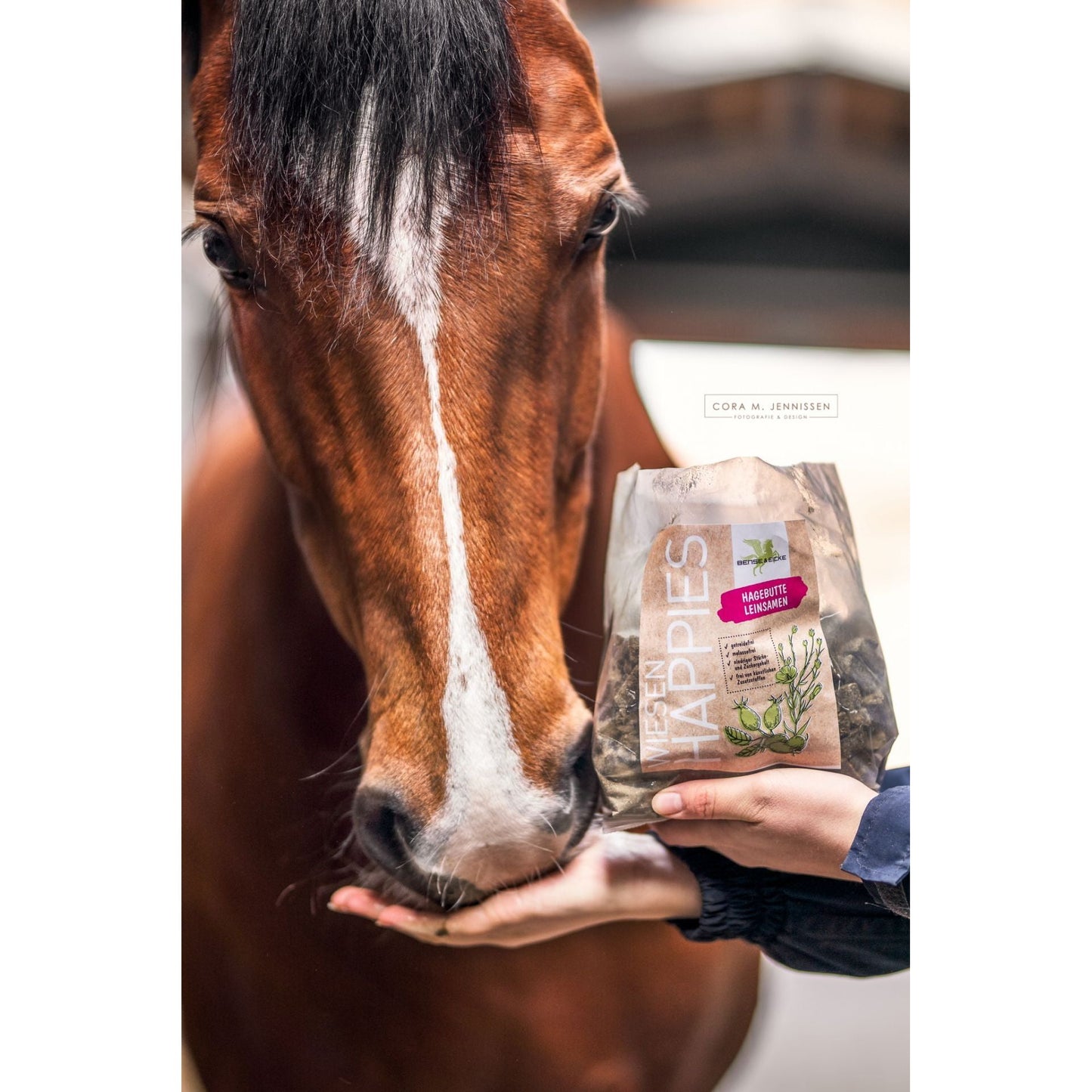 Bense & Eicke Wiesen happies Hagebutte Leinsamen 1 kg - Kaster Cheval