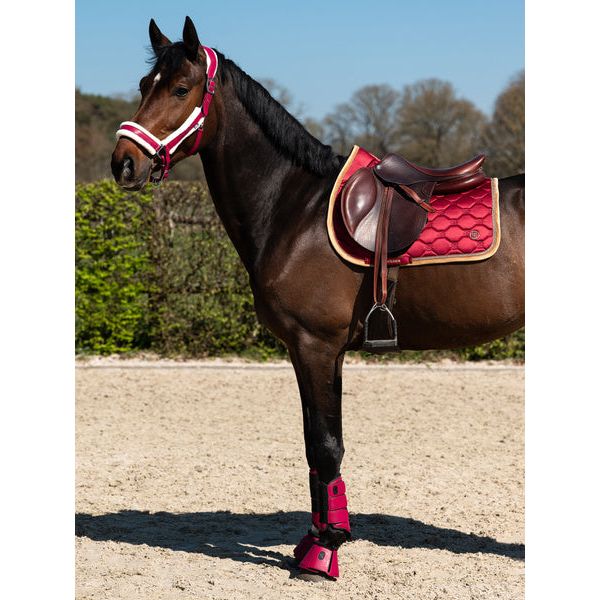 Gray PS of Sweden Premium Fluffy Halfter