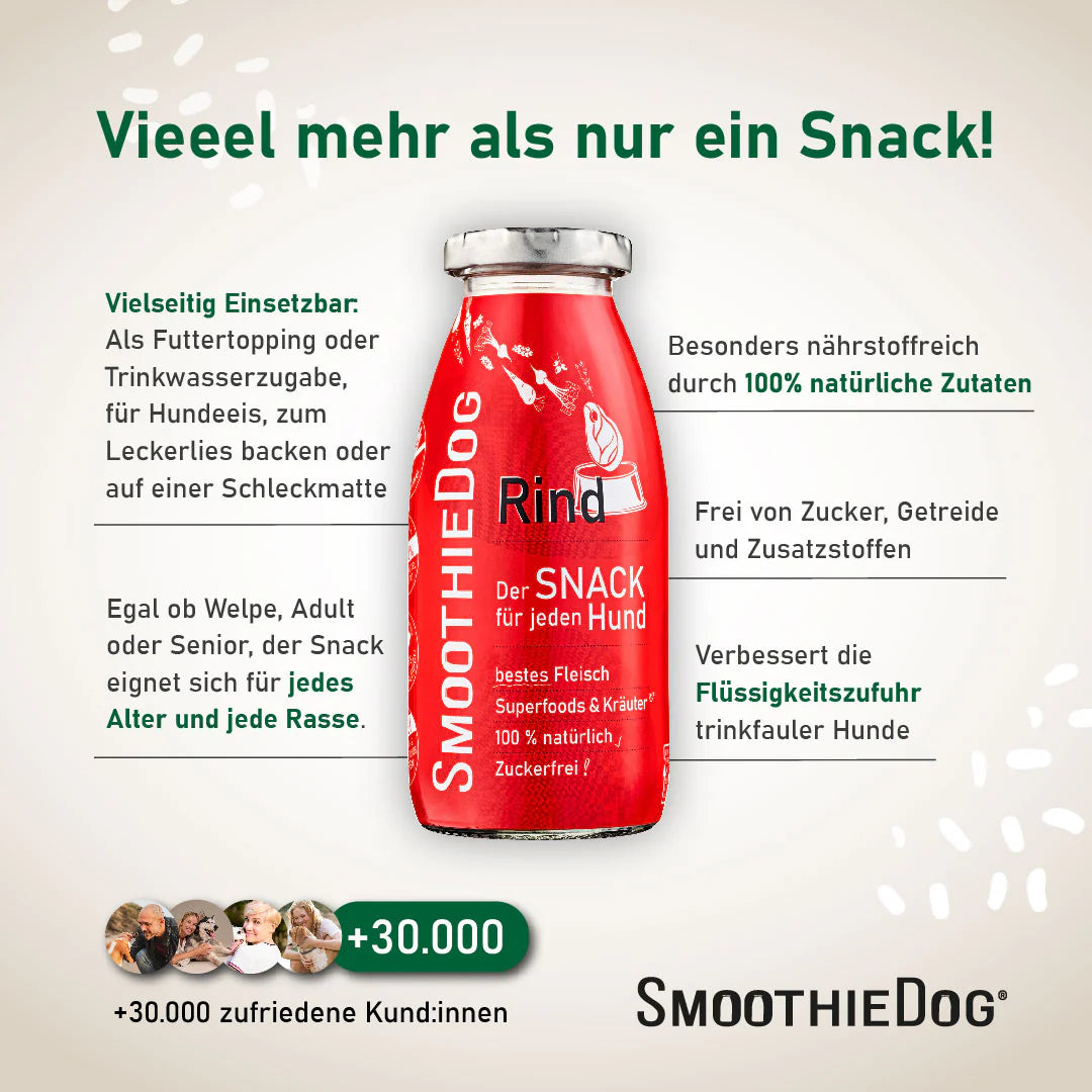 Hundesmoothie Rind