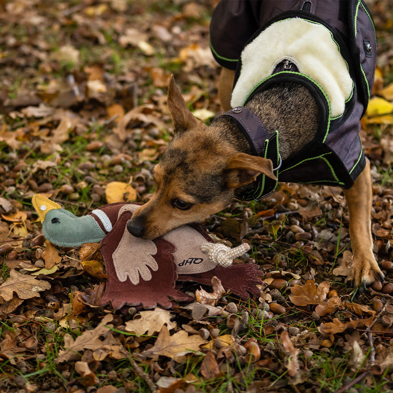 QHP Hundespielzeug Ente WS26