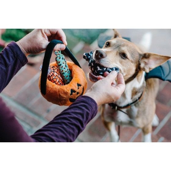 P.L.A.Y. Howl-O-Ween Leckerli-Korb