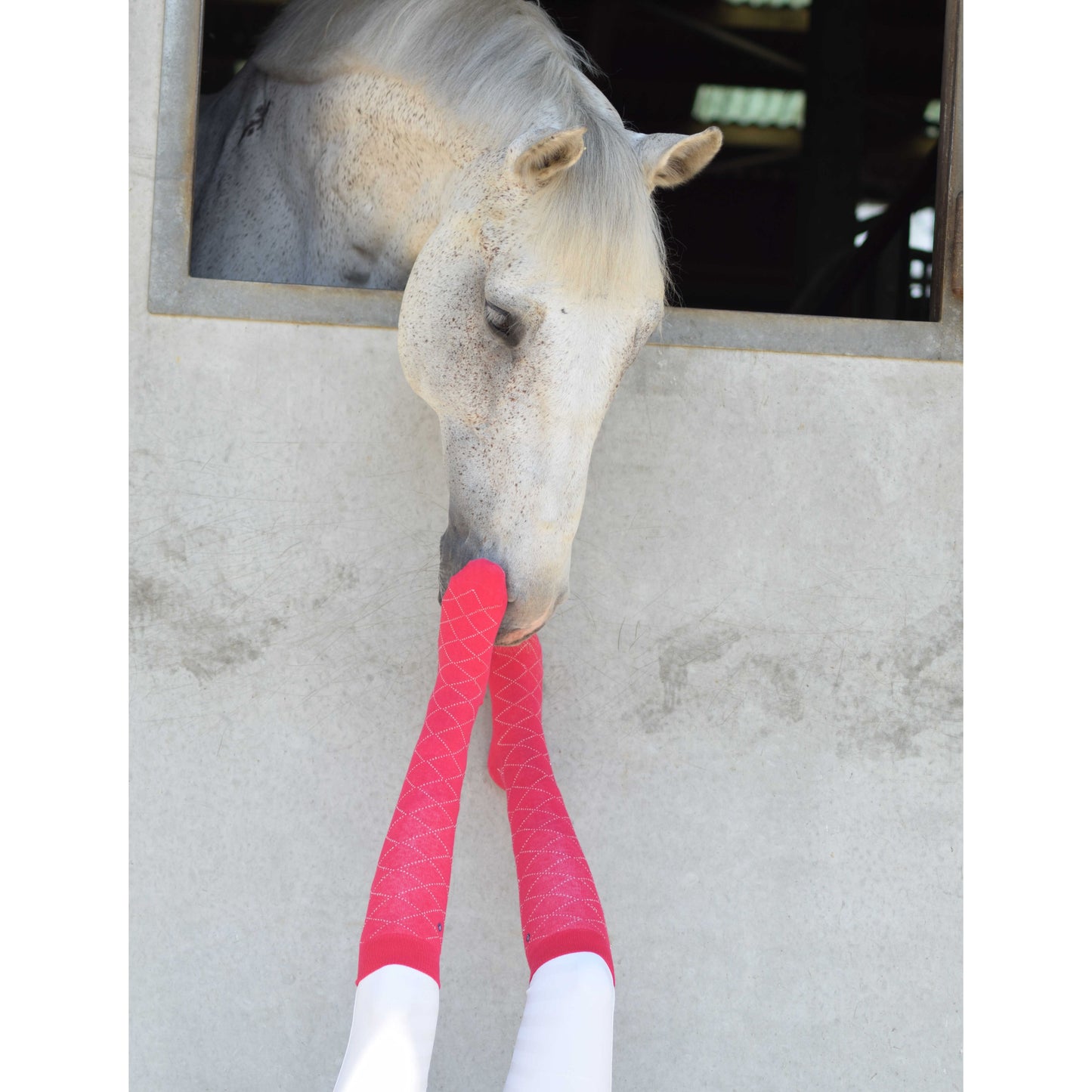 Gray Equithème Socken Resille