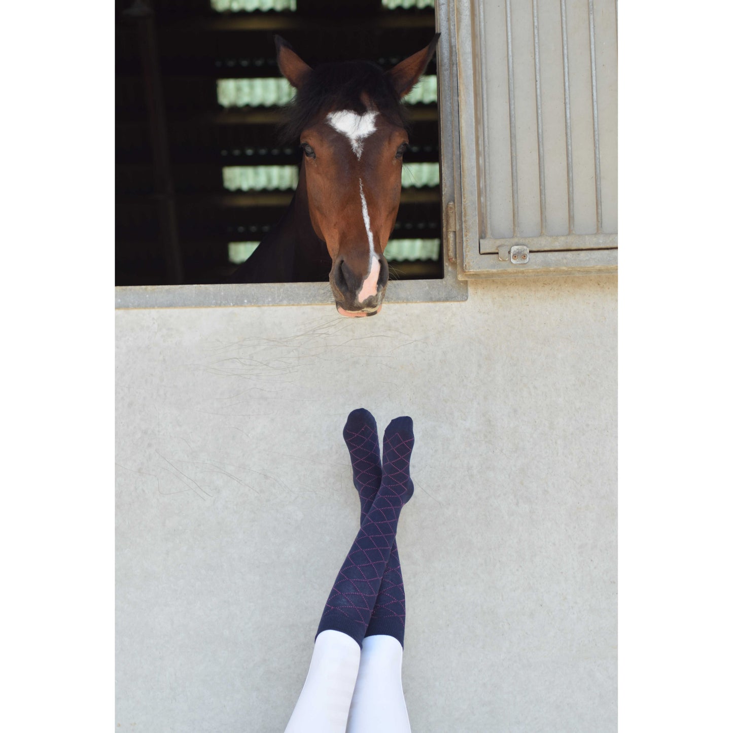 Gray Equithème Socken Resille