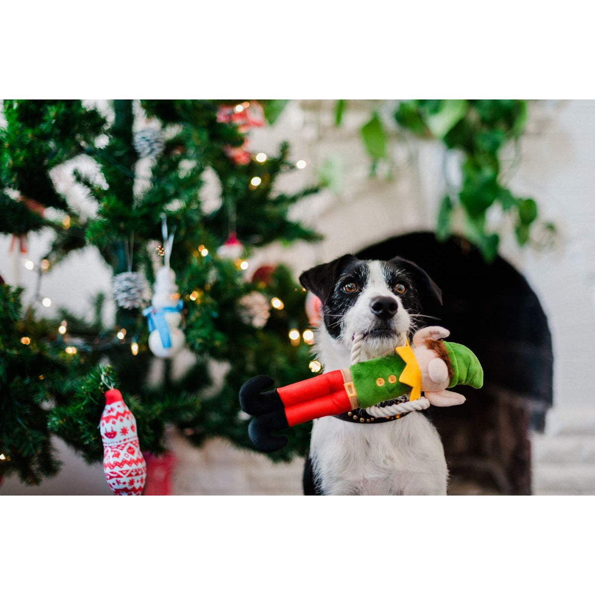 P.L.A.Y. Fröhliche Woofnachten Santas Kleiner Elf-Er