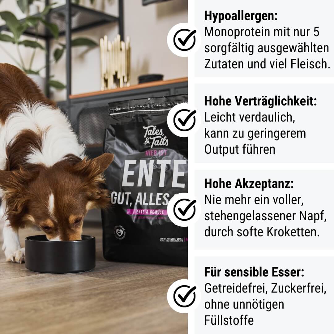 Dark Slate Gray Tales & Tails Ente Gut, Alles Gut Trockenfutter