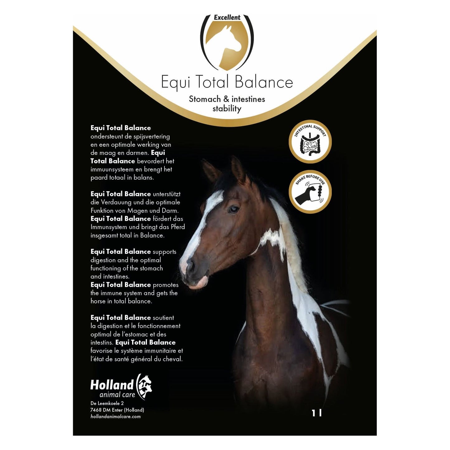 Excellent Equi Total Balance