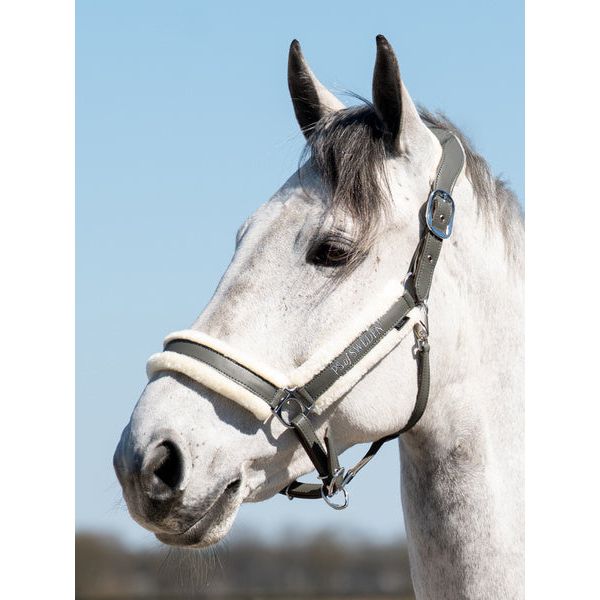 Light Steel Blue PS of Sweden Premium Fluffy Halfter