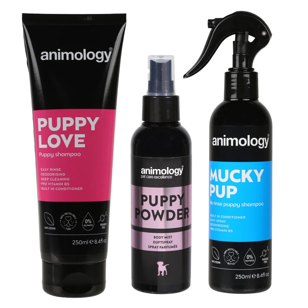 Pale Violet Red Animology My First Puppy Pack