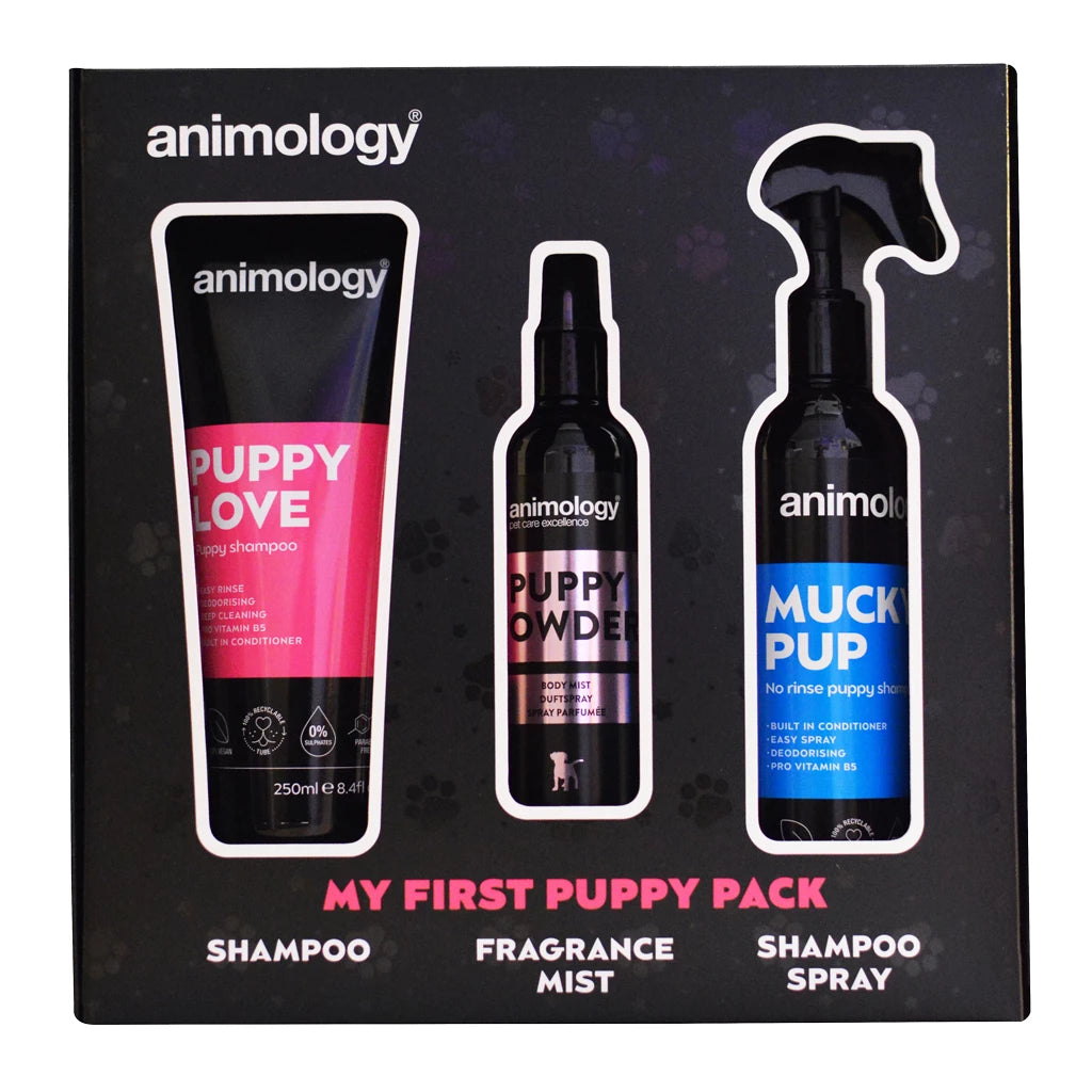Dark Slate Gray Animology My First Puppy Pack