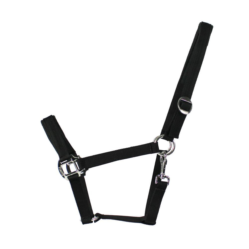 EQuest Halfter Regular Plus | NOS