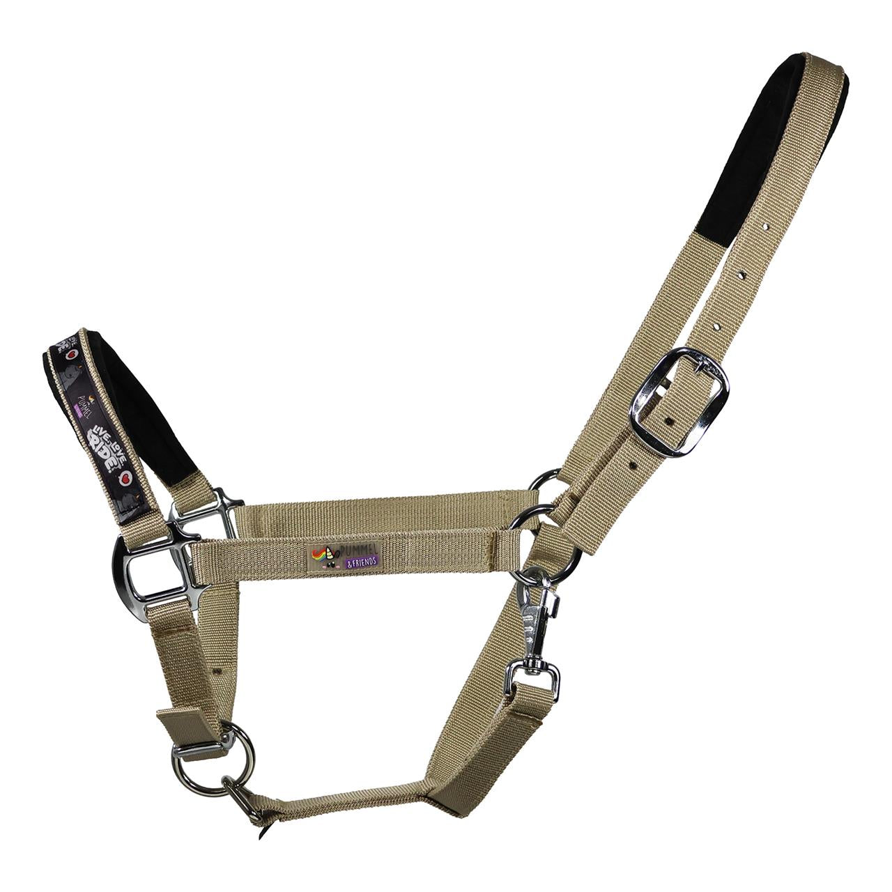 Dim Gray EQuest Pummel Halfter Uno Plus | Live Love Ride