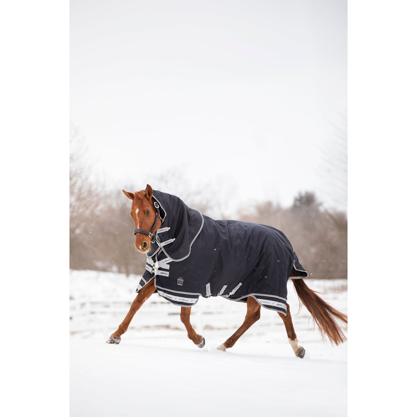 LMX Arika Storm-Tek Turnout Rug