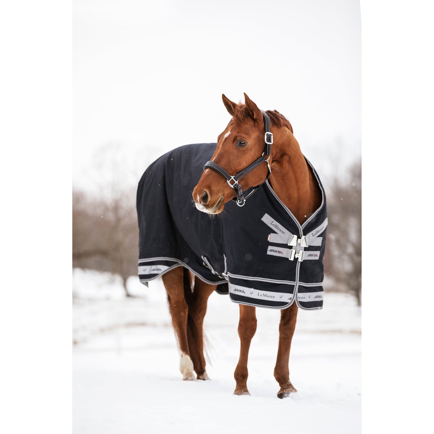 LMX Arika Storm-Tek Turnout Rug