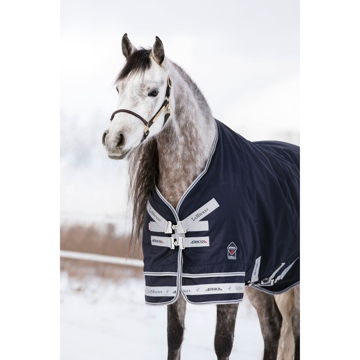 LMX Arika Storm-Tek Turnout Rug