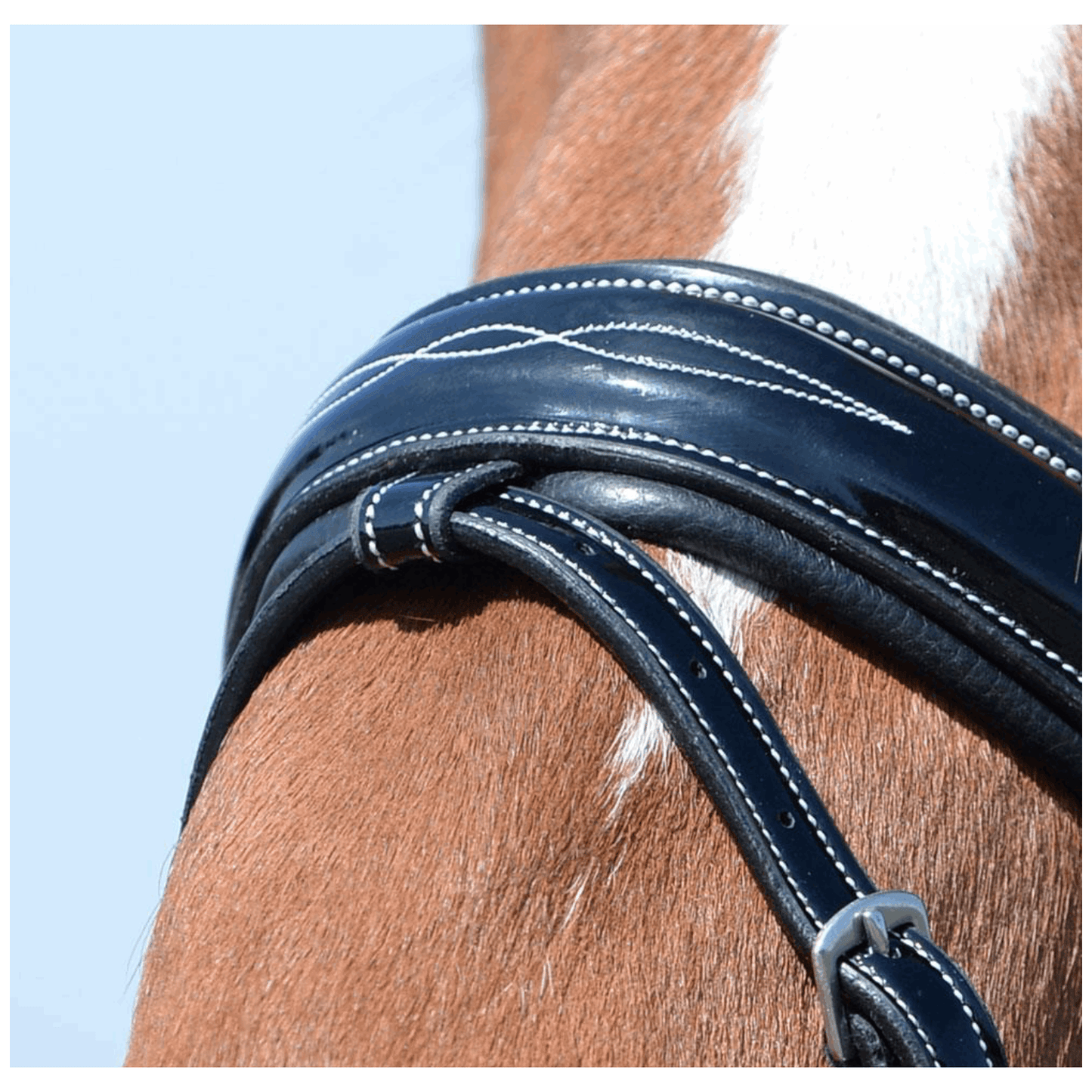 Trense Glossy Seams