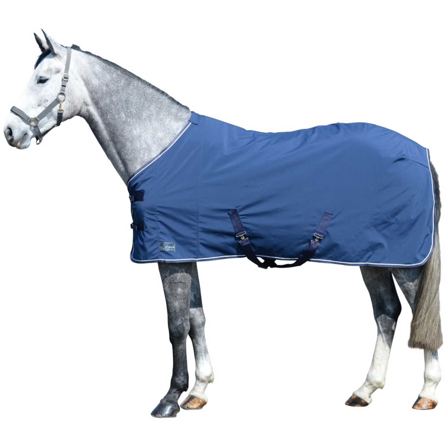 Soft Shell Decke Regular