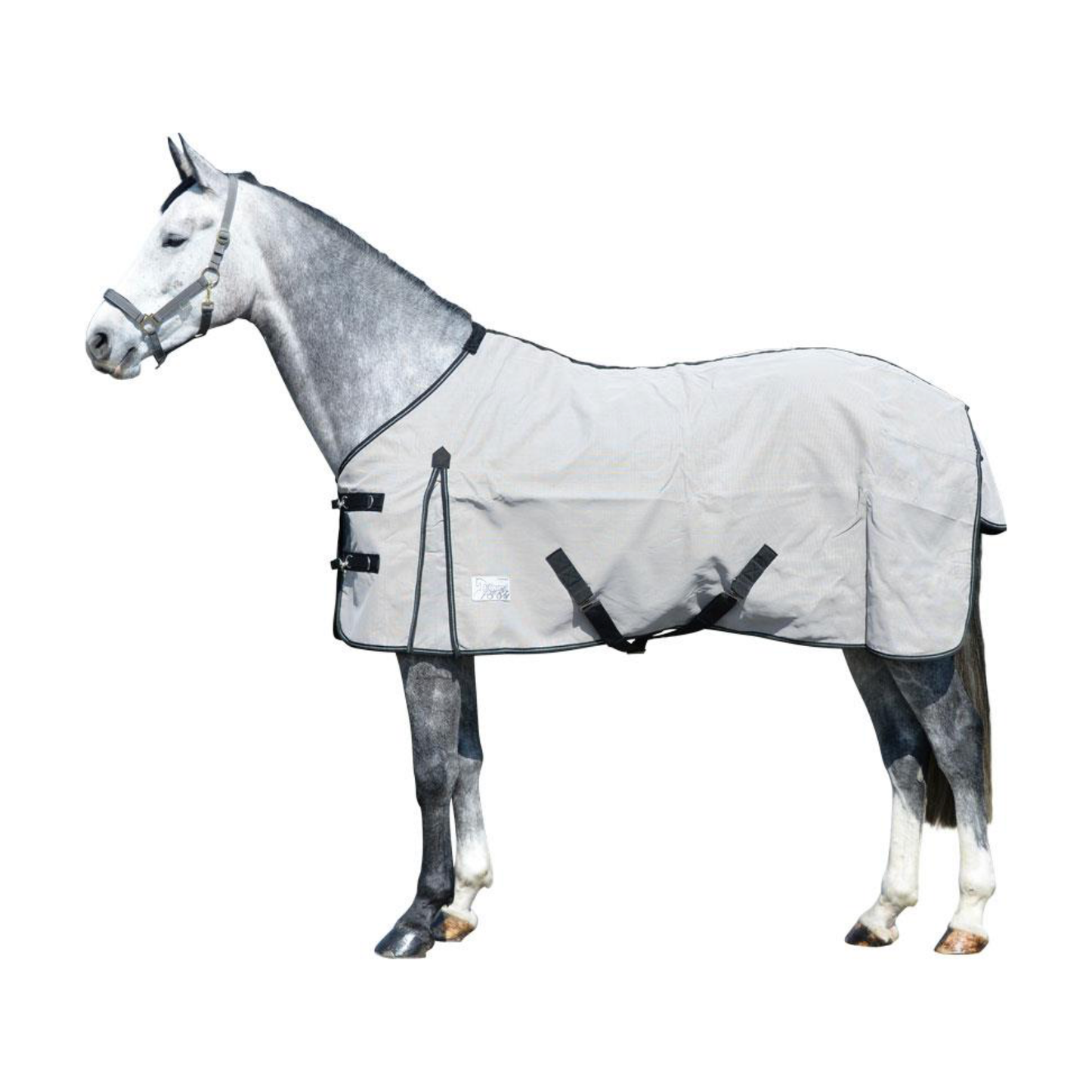 Light Gray Stalldecke Latex | Regular