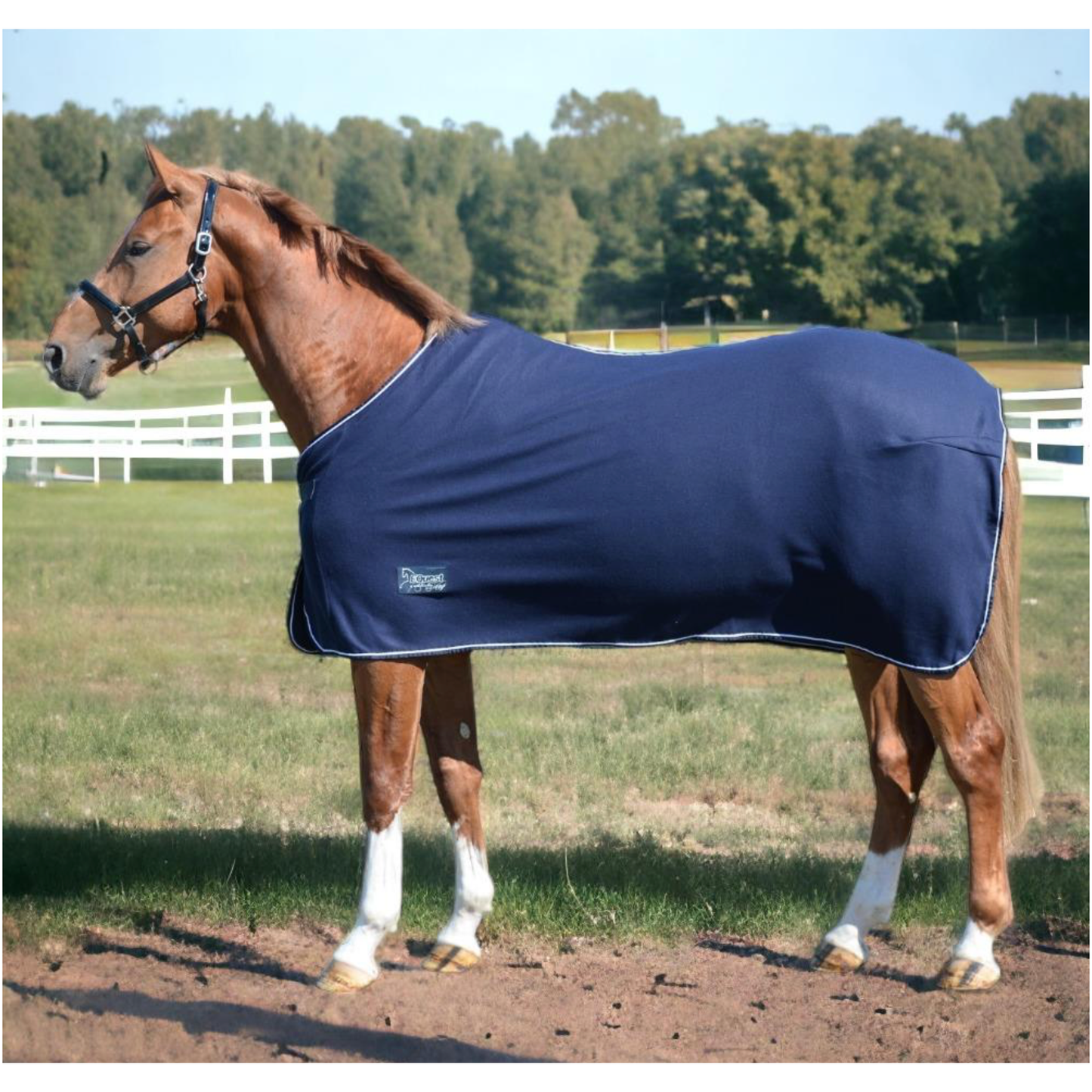 Decke Fleece Act-Line | Parade