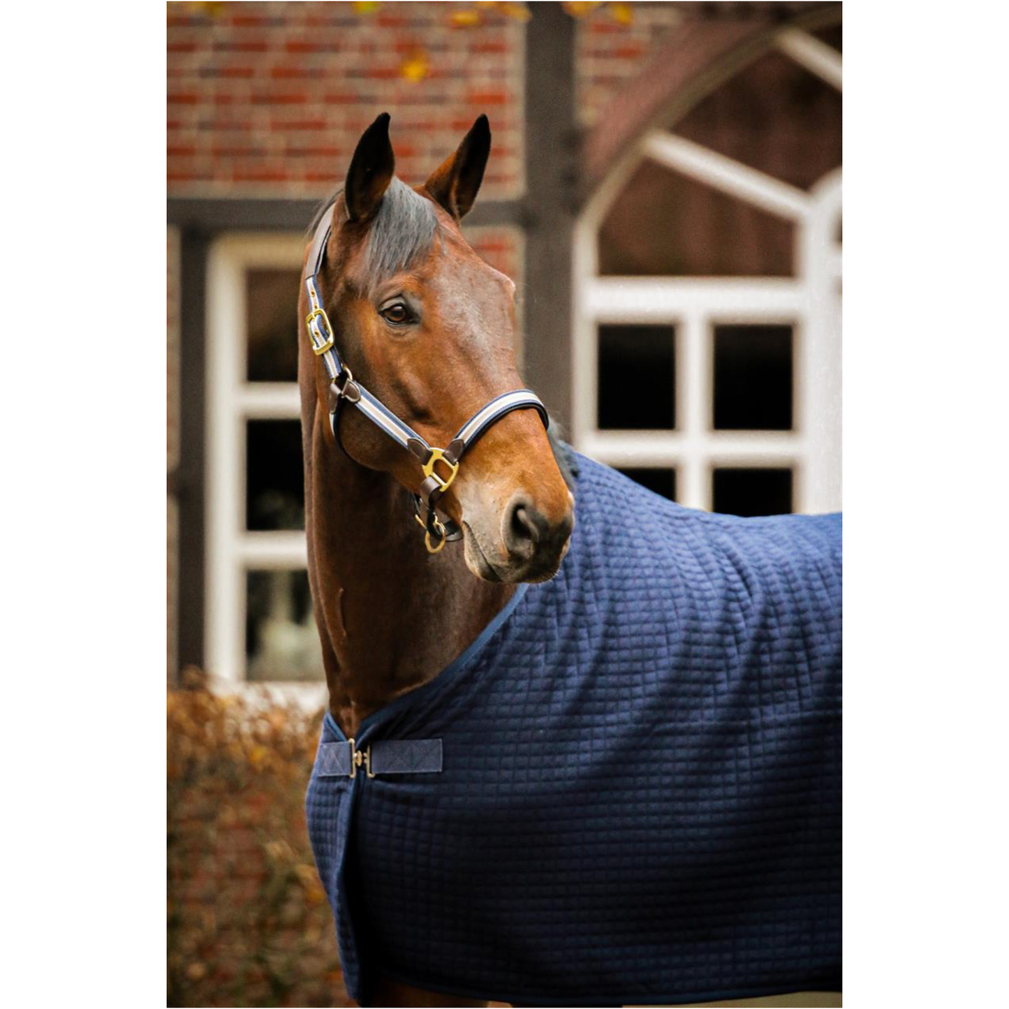 Climatherm III | Regular
