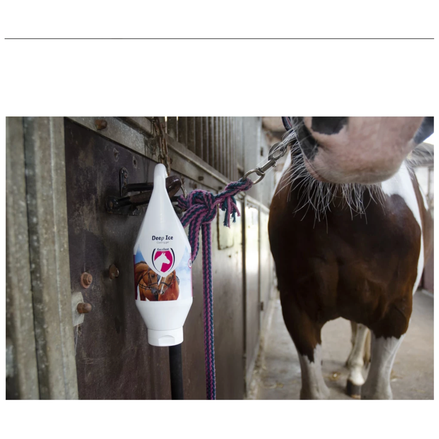 Excellent Horse Deep Ice Cooling Gel