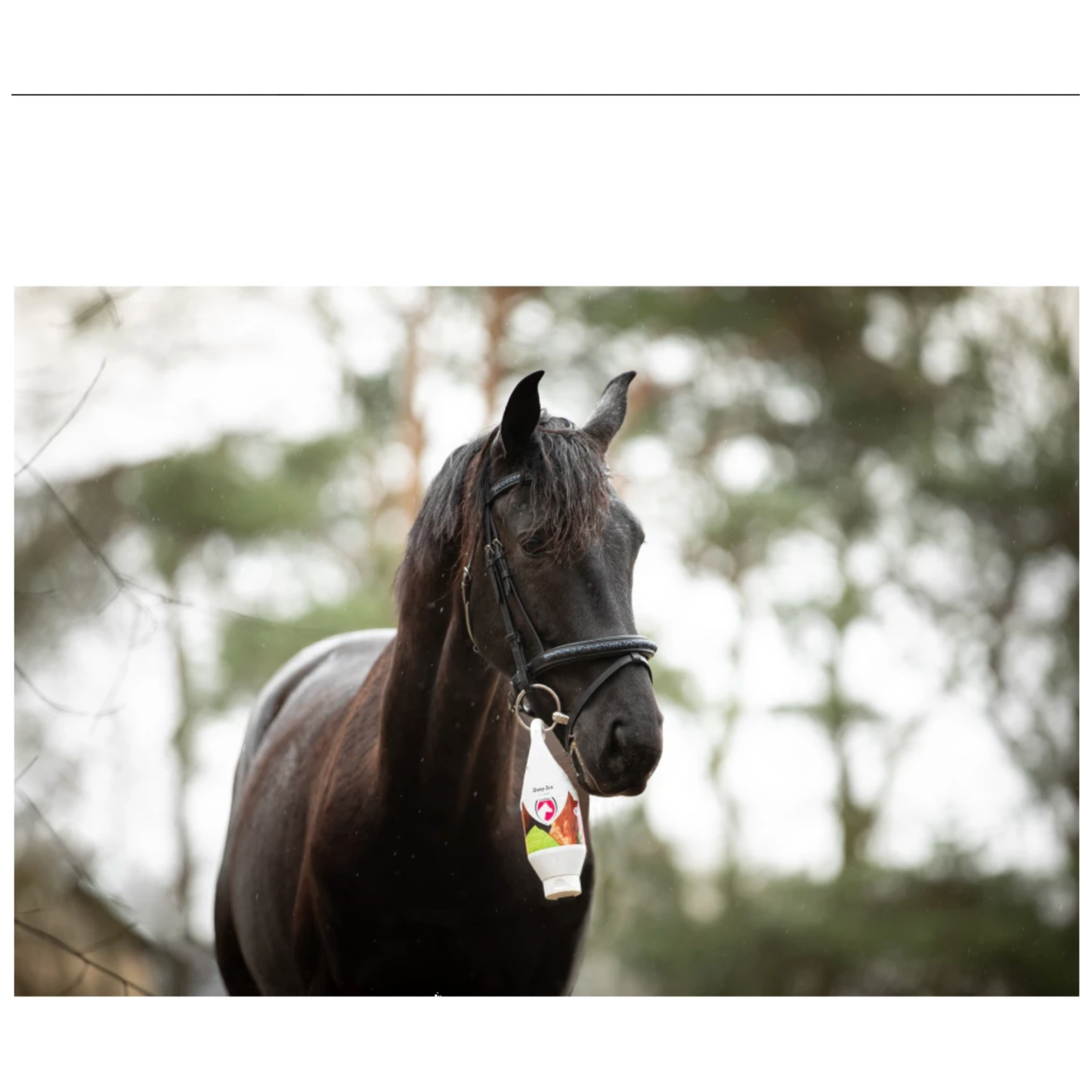 Excellent Horse Deep Ice Cooling Gel