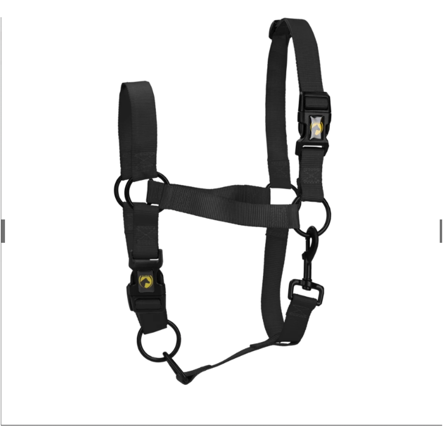 Excellent Essential Halfter