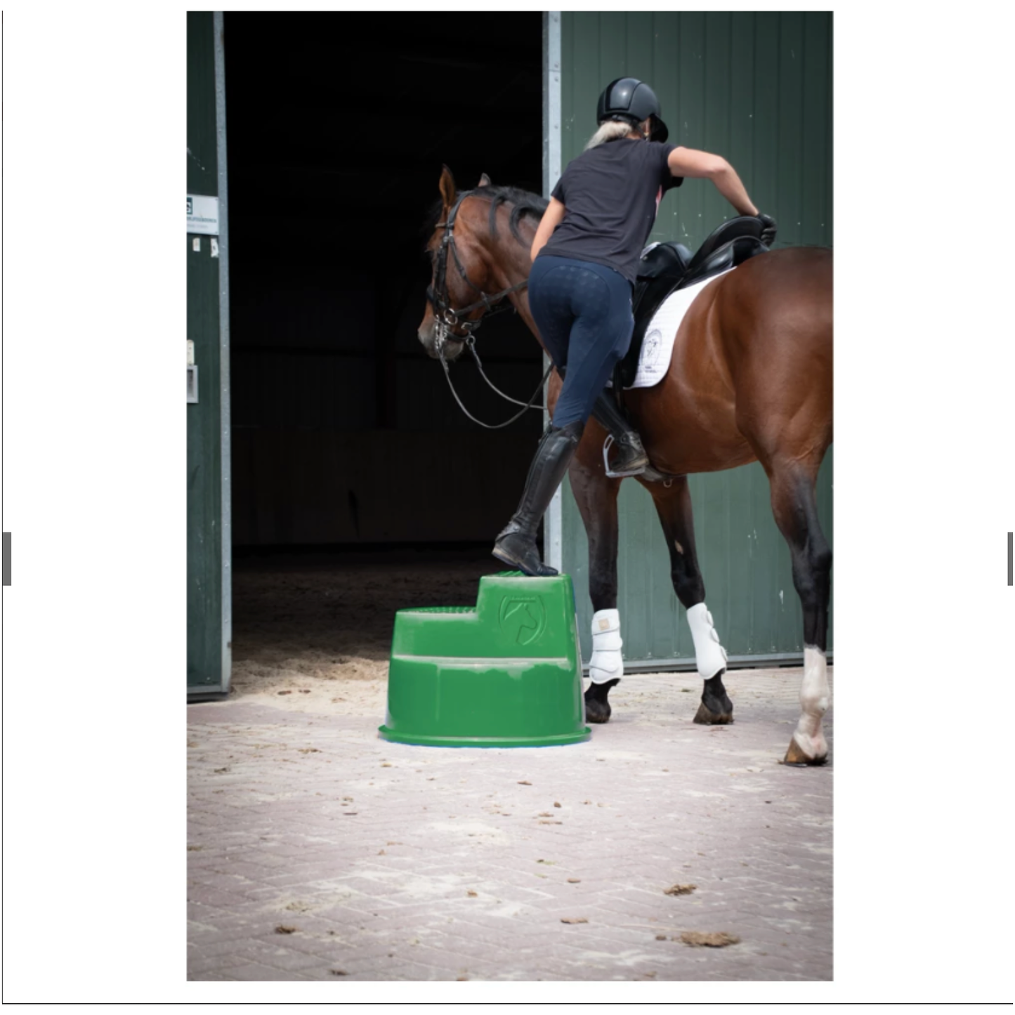 Excellent Horse Aufstiegshilfe 3 Stufen