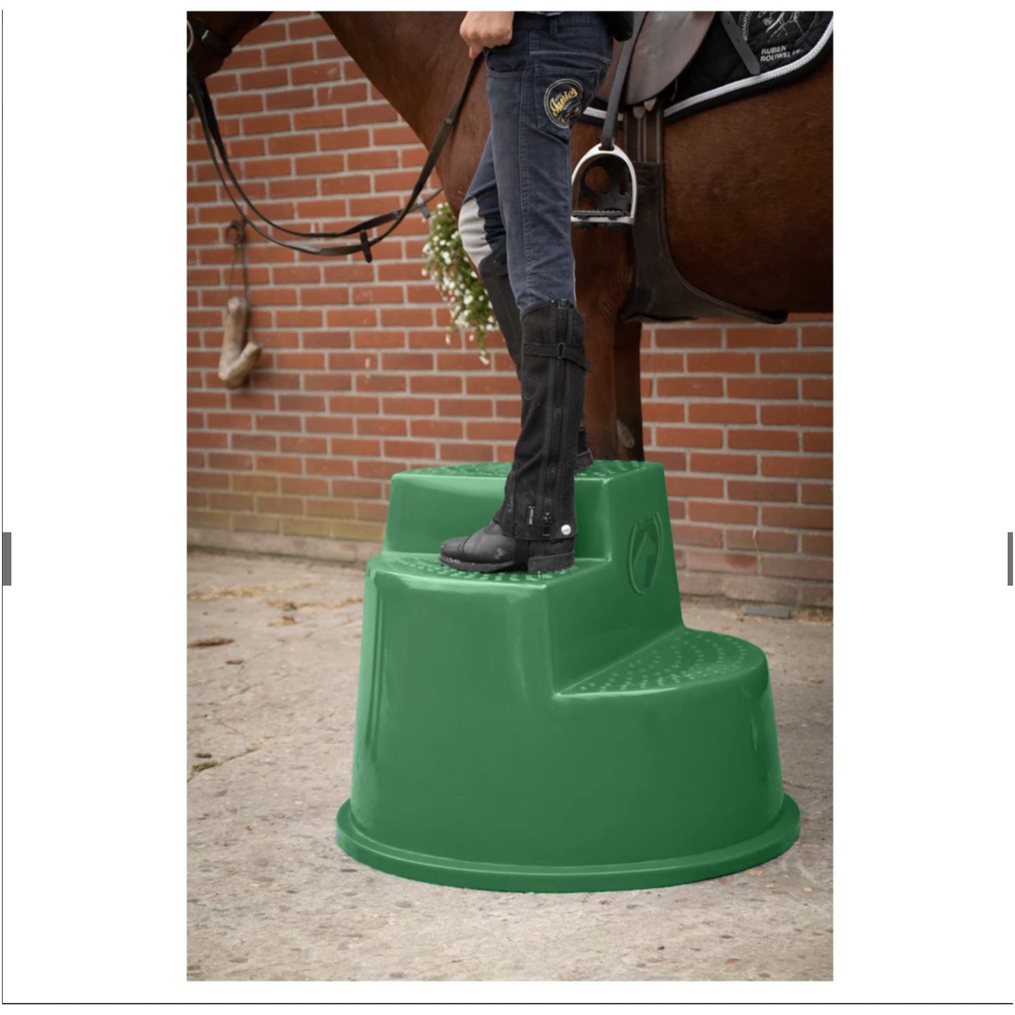 Excellent Horse Aufstiegshilfe 3 Stufen