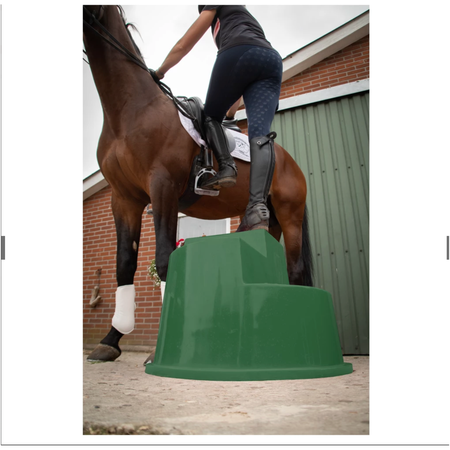 Excellent Horse Aufstiegshilfe 3 Stufen