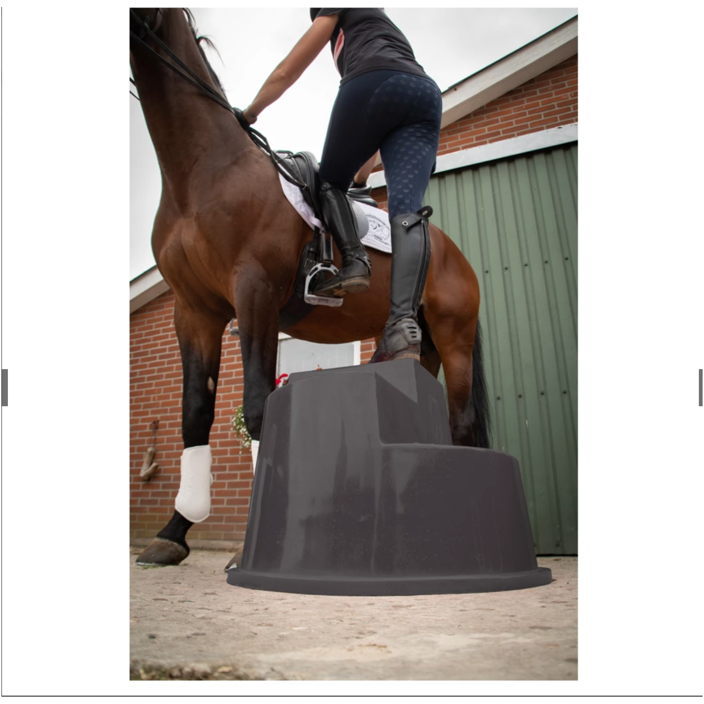Excellent Horse Aufstiegshilfe 3 Stufen
