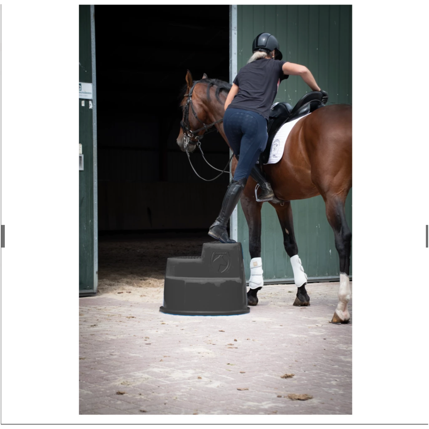 Excellent Horse Aufstiegshilfe 3 Stufen