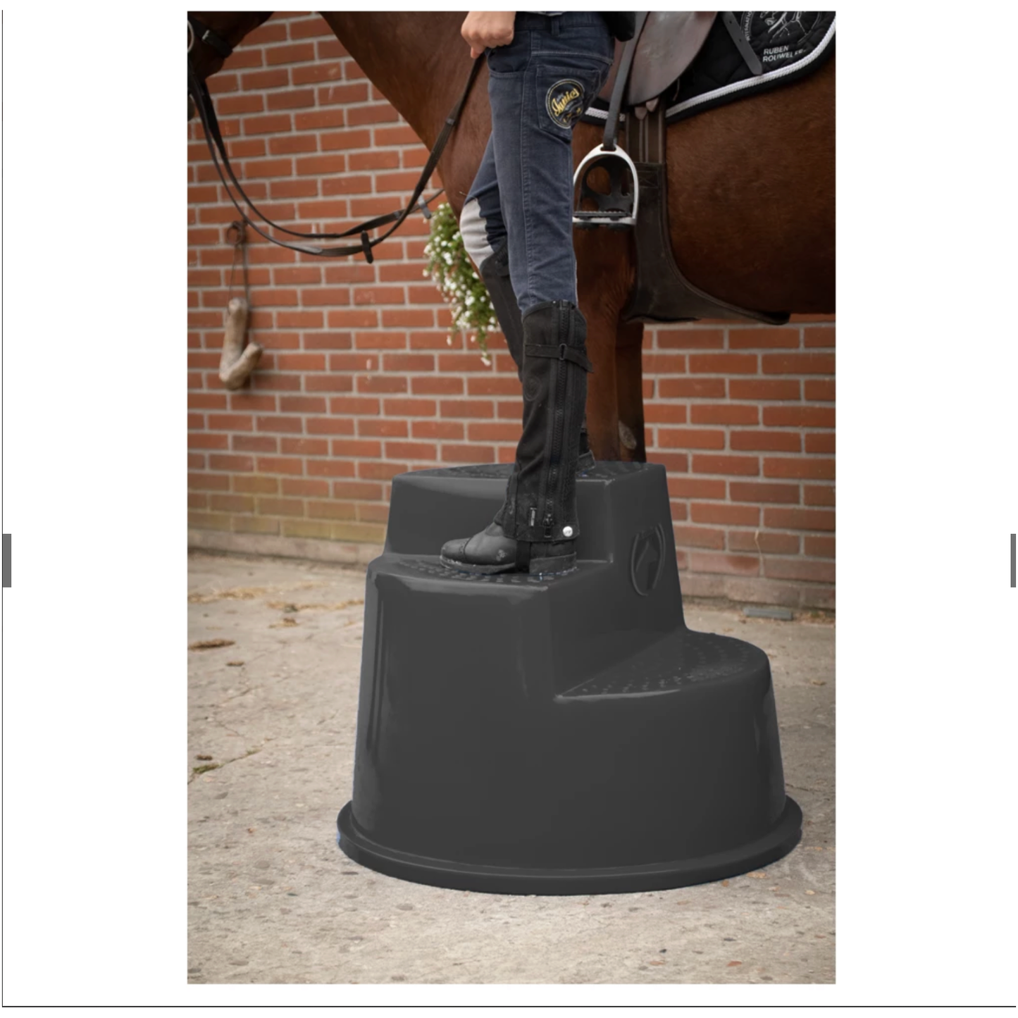 Excellent Horse Aufstiegshilfe 3 Stufen