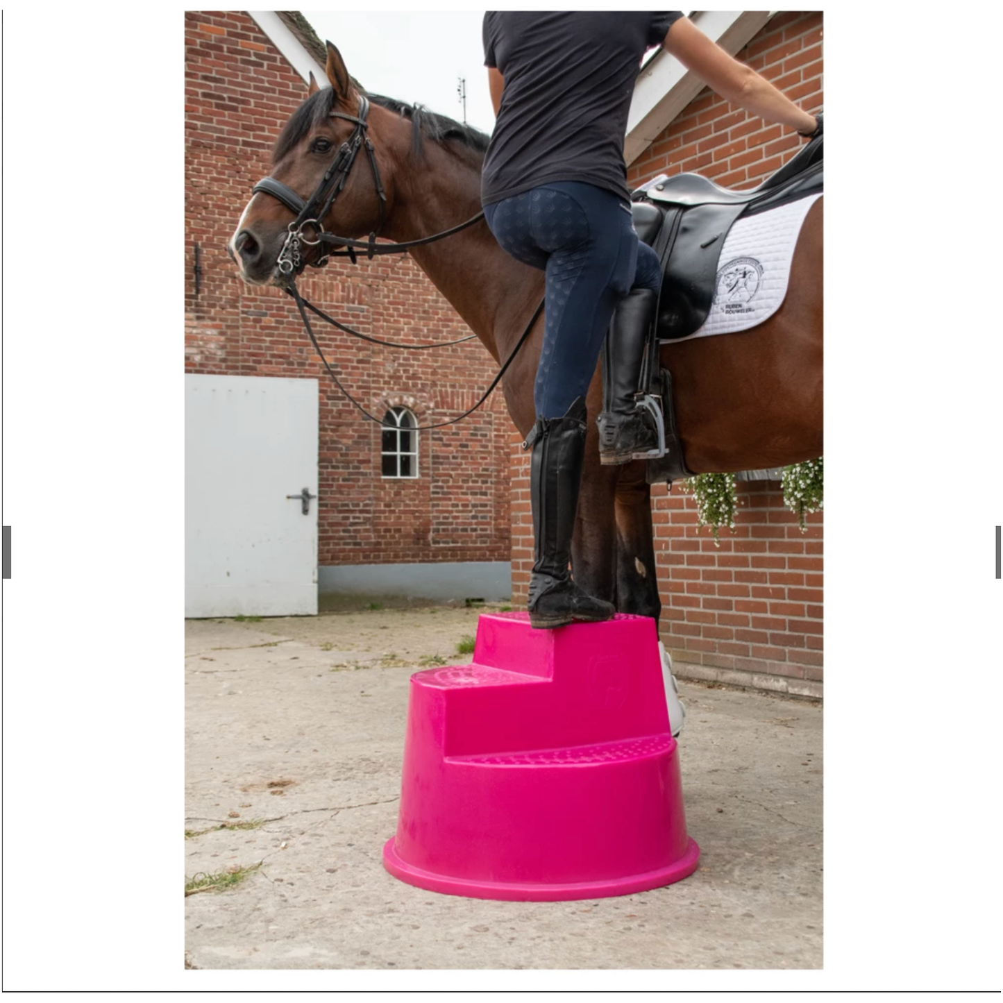 Excellent Horse Aufstiegshilfe 3 Stufen