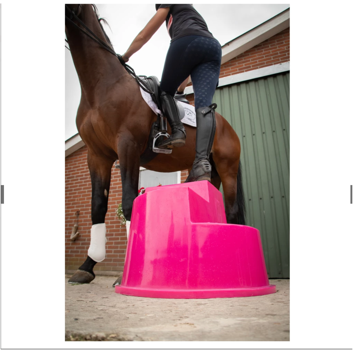 Excellent Horse Aufstiegshilfe 3 Stufen
