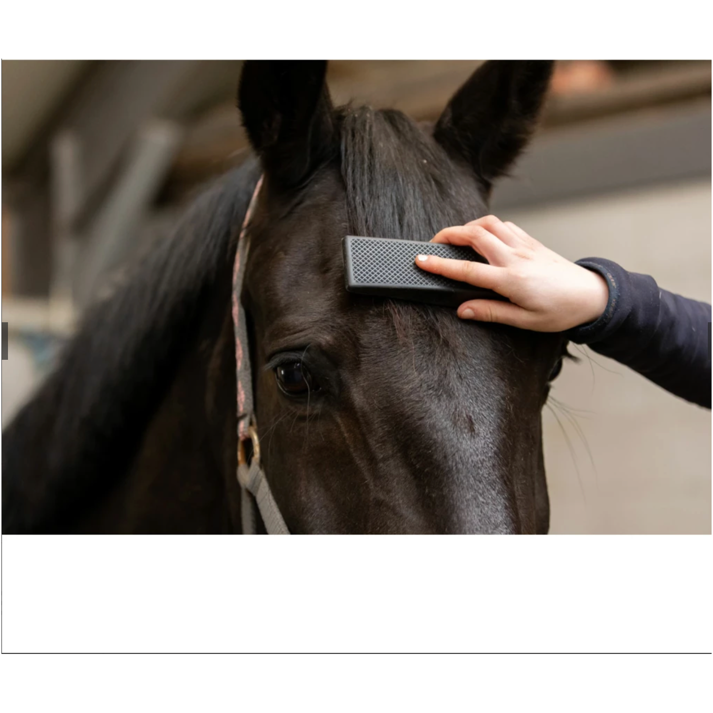 Excellent Horse Grooming Brush