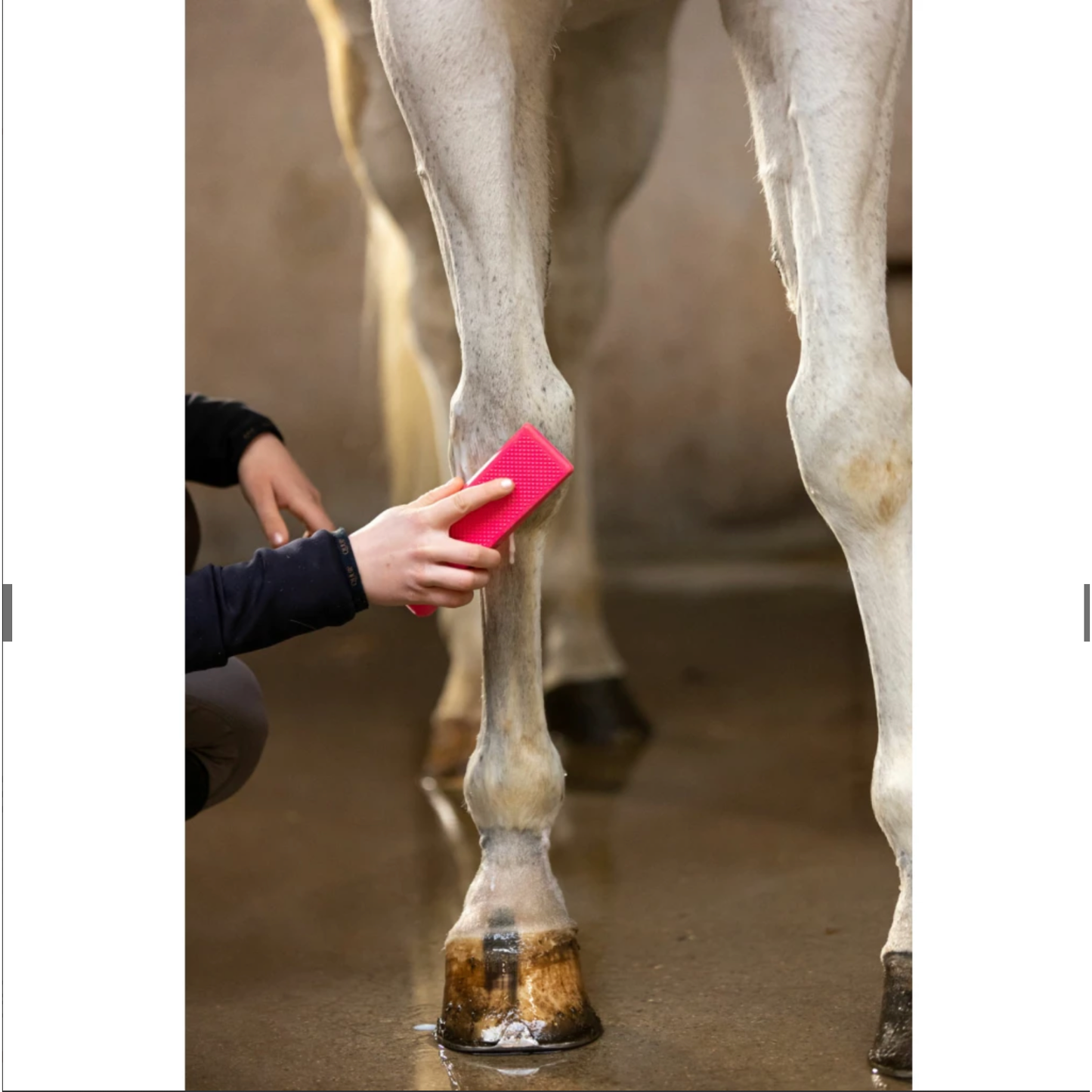 Excellent Horse Grooming Brush
