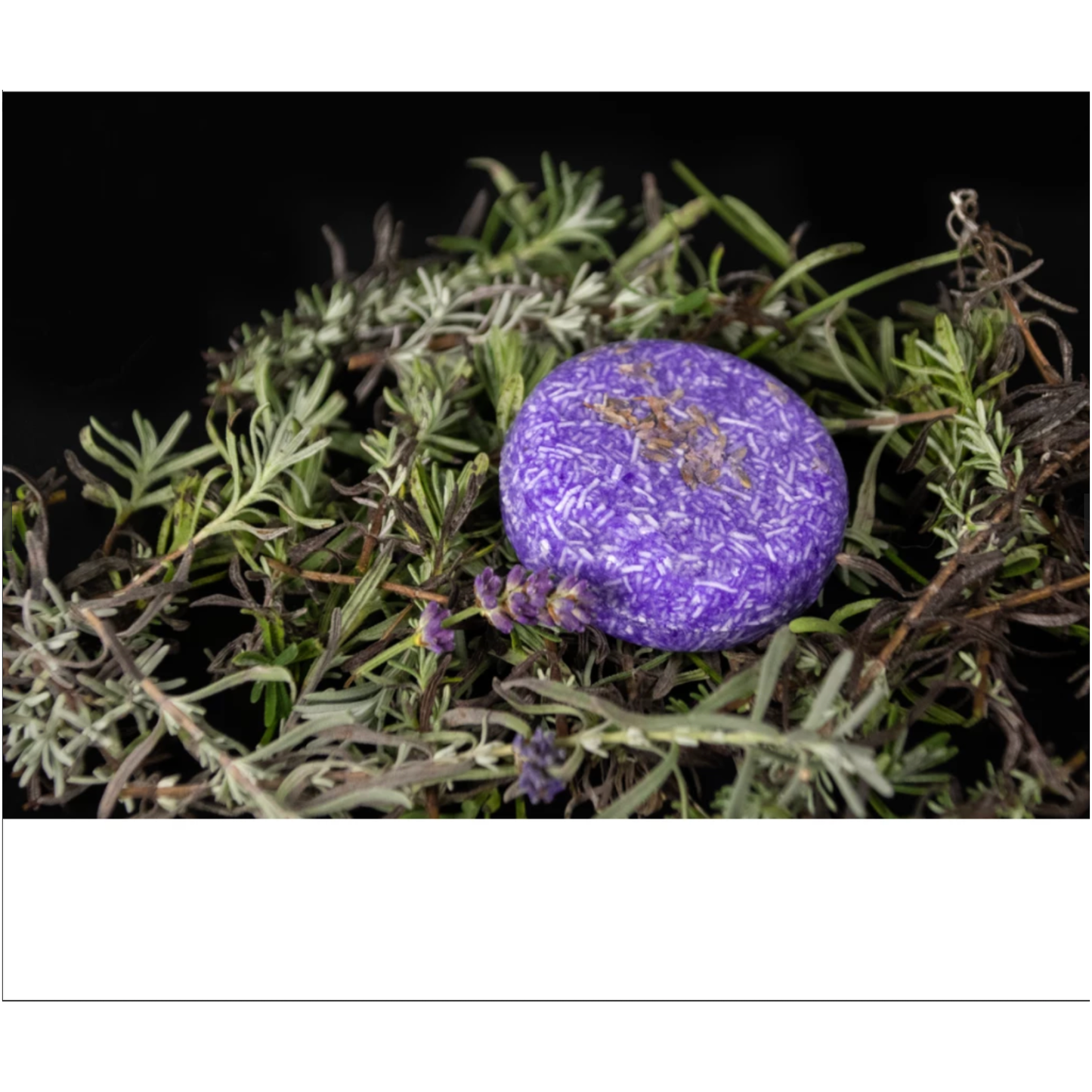 Excellent Horse Hi Gloss Shampoo Bar