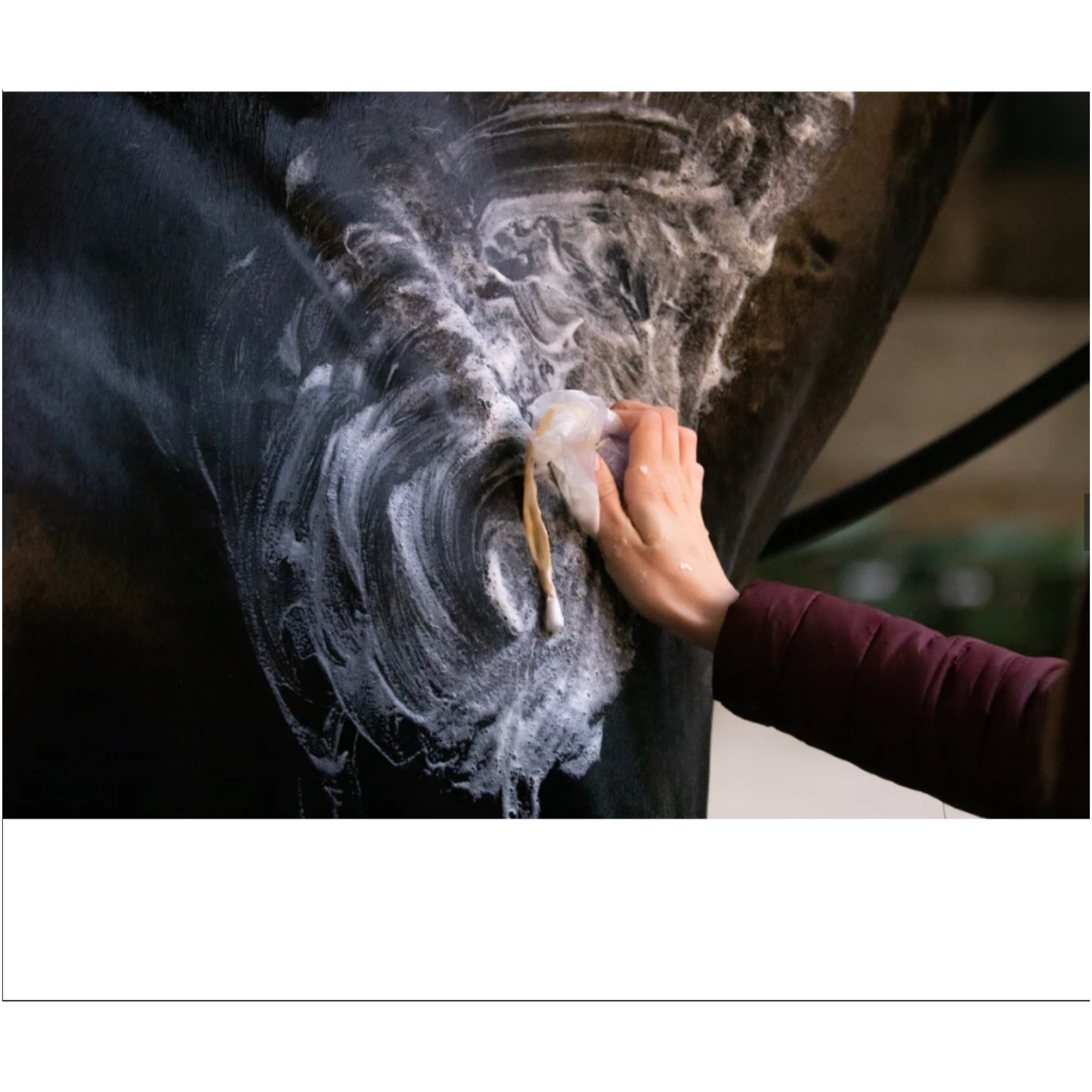 Excellent Horse Hi Gloss Shampoo Bar