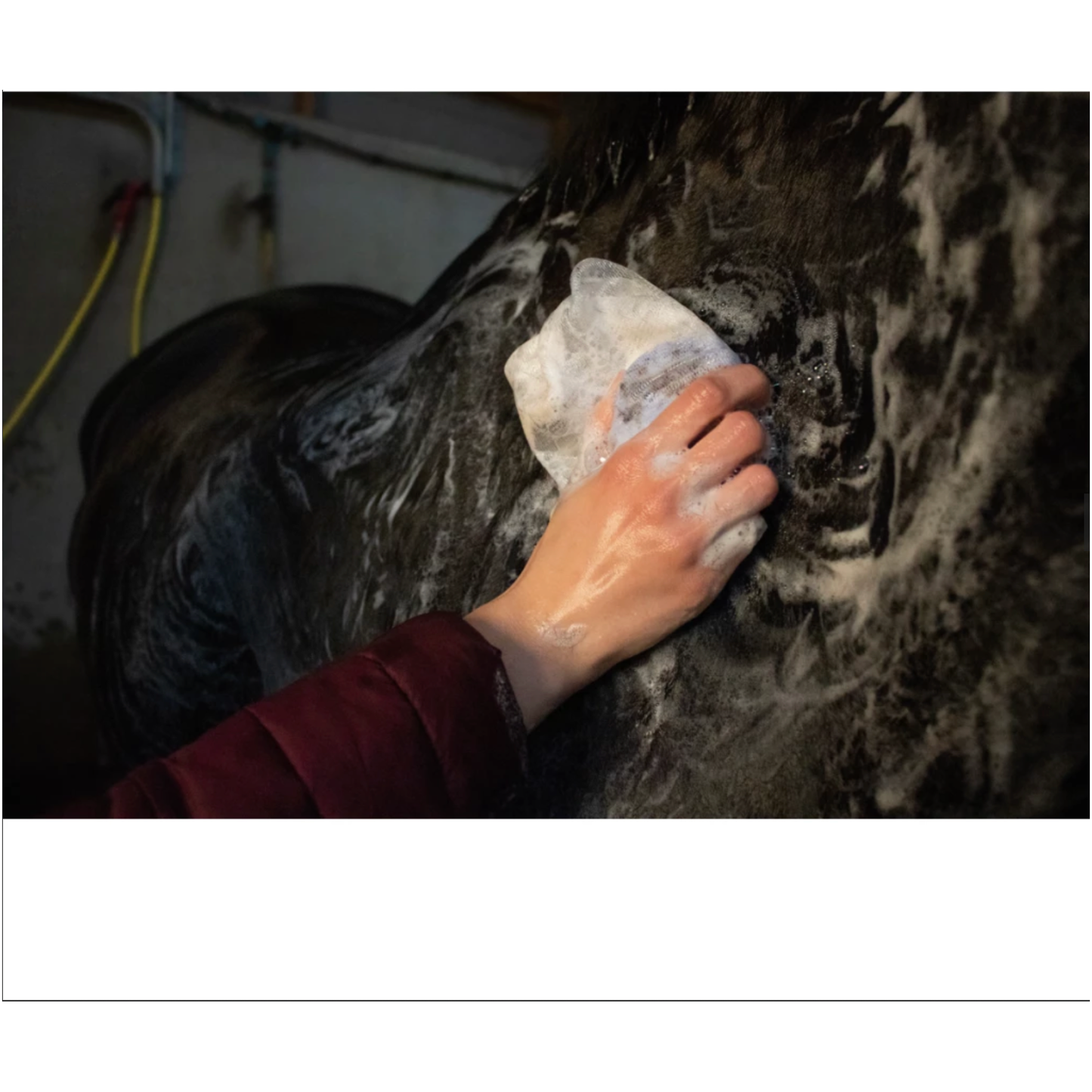 Excellent Horse Hi Gloss Shampoo Bar