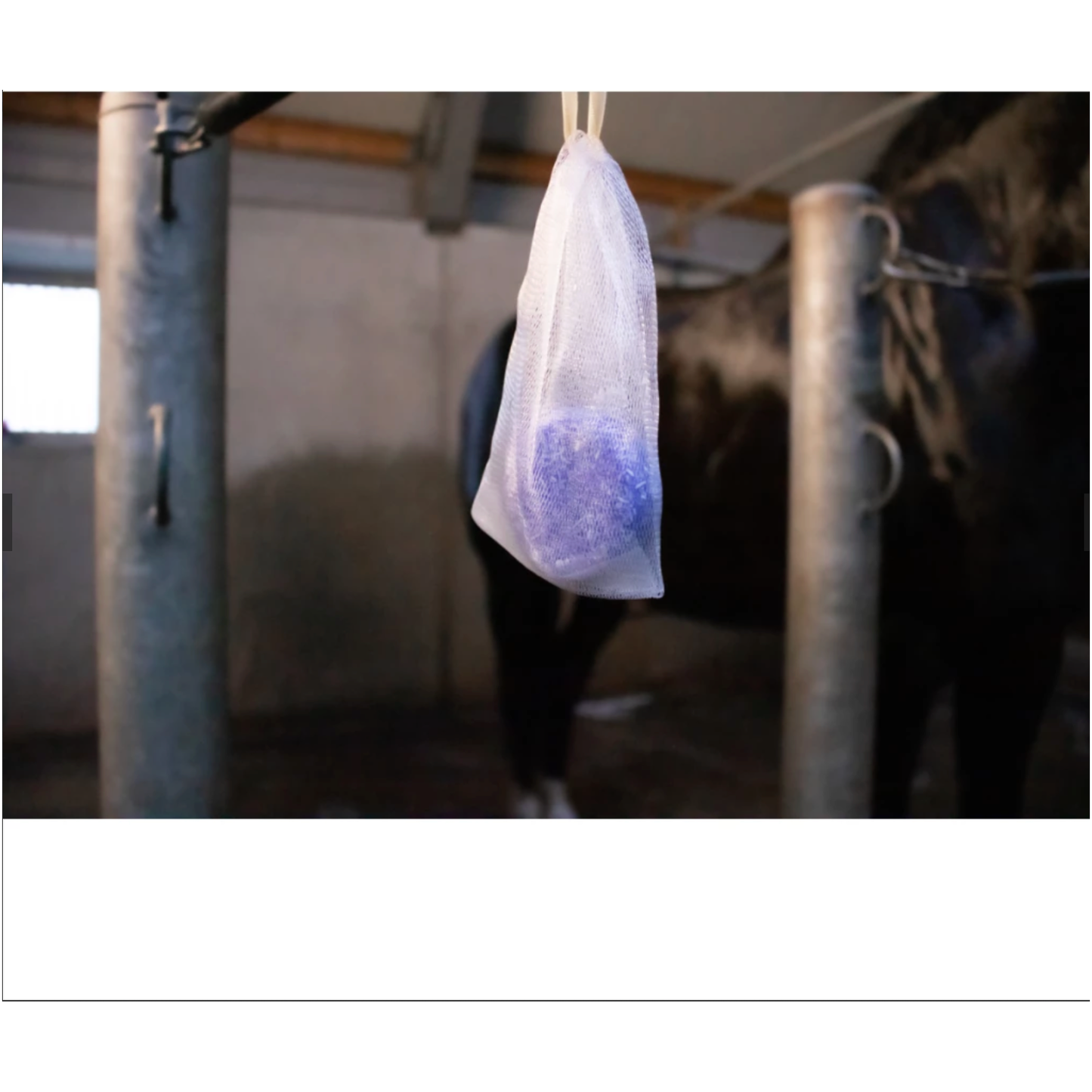 Excellent Horse Hi Gloss Shampoo Bar